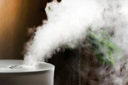 每個人都應(yīng)該使用加濕器的10個理由