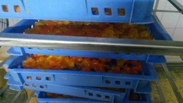 蛋黃烘干存放高溫烘干機CGF20/SN項目