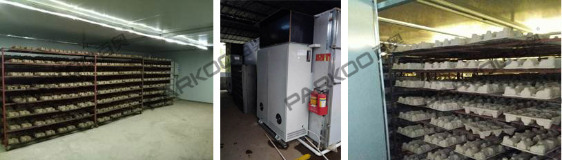 佛山市順德區(qū)利之源紙托烘干項目